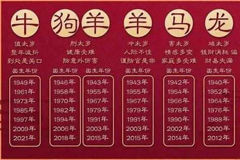 1982什么年|1982是什么年